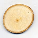 Picture of Basswood tree round