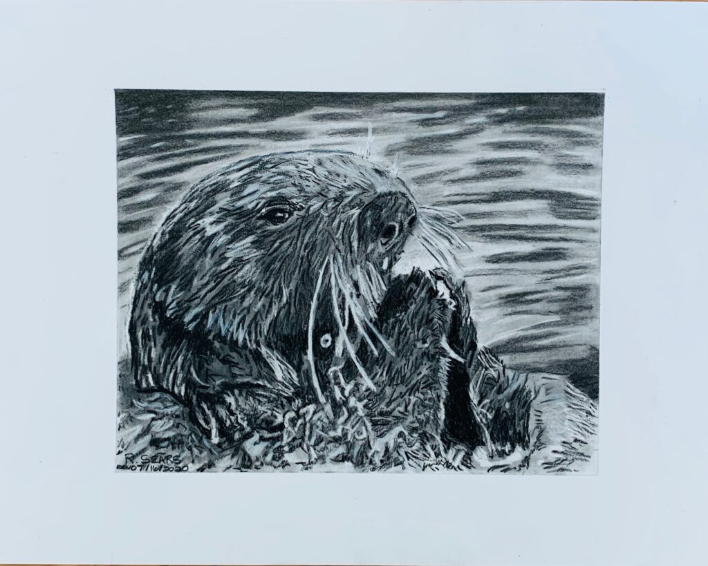 Picture of original art which is a swimming otter