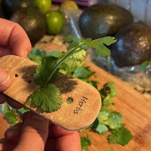Wooden herb stripper being used to remove fresh herb leaves